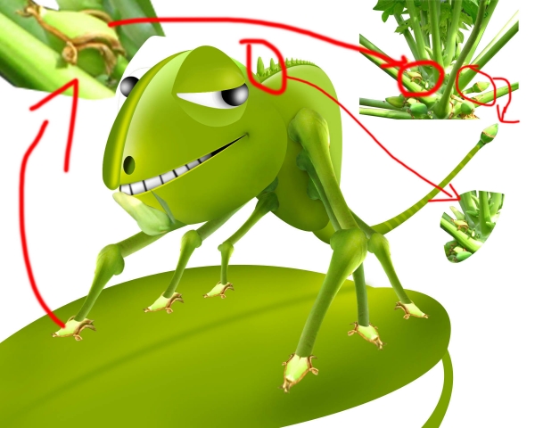 Creation of hai guys...: Step 3